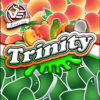 Trinity1
