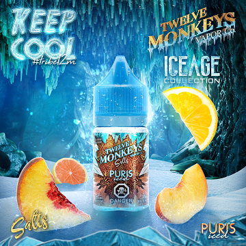 Puris Iced by 12 Monkeys Ice Age SALTS 1 Puris Iced by 12 Monkeys Ice Age SALTS