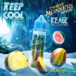 12 Monkeys Ice Age Mangabeys iced Ejuice 60ml