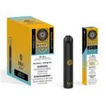 Mango Iced Envi Boost Disposable