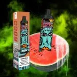 Lush Ice 6000 Puffs RandM Tornado Disposable Vape Device