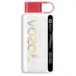 Watermelon Ice Star 9000 Puff by Vozol