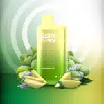 Green Mango Ice Drip'n EVO 10K Disposable By Envi
