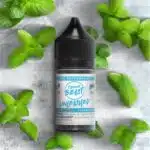 Epic Peppermint Iced Unleashed Flavour Beast Salts