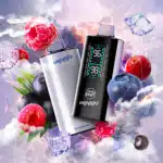 Epic Berry Swirl Iced Flavour Beast Unleashed DCP Disposable Vape