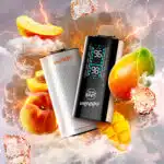 Epic Peach Mango Iced Flavour Beast Unleashed DCP Disposable Vape