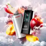 Epic Apple Peach Iced Flavour Beast Unleashed DCP Disposable Vape