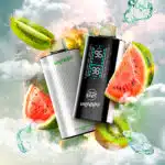 Epic Watermelon Kiwi Iced Flavour Beast Unleashed DCP Disposable Vape