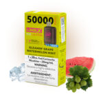 Gleamin' Grape Watermelon Mint Ice Pods Level X Ultra G2 by Flavour Beast